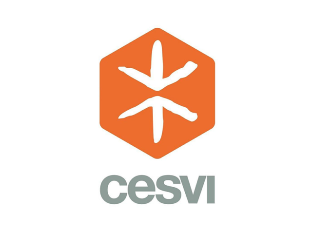 Fondazione CESVI