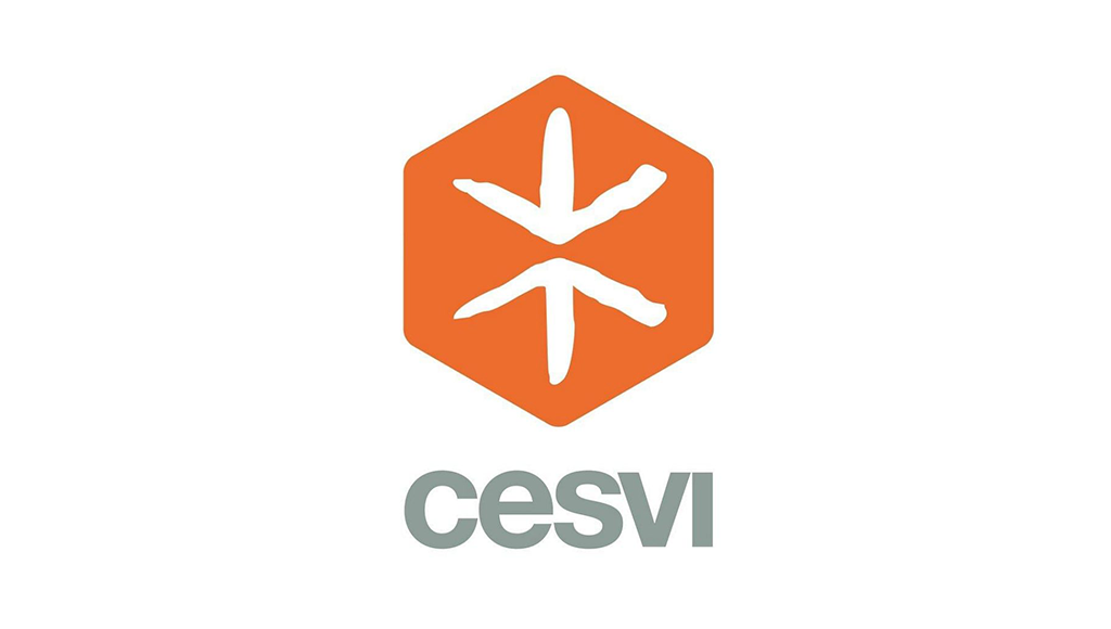 Fondazione CESVI